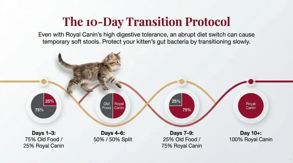 Royal Canin Kitten Food