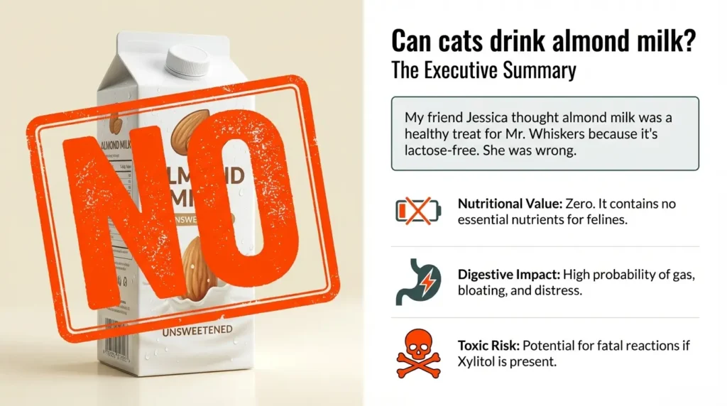 Photo inspiration: Picture Idea: Can Cats Drink Almond Milk 11 Safety Facts Owners Need