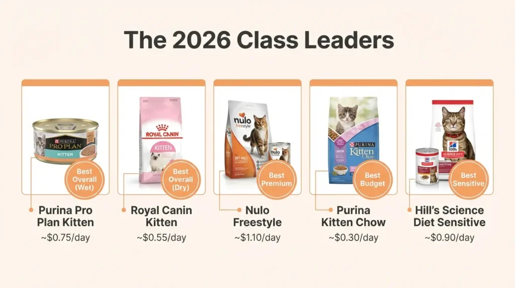 Kitten Food 