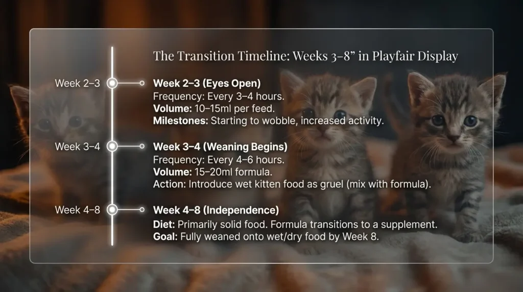 Kitten Formula