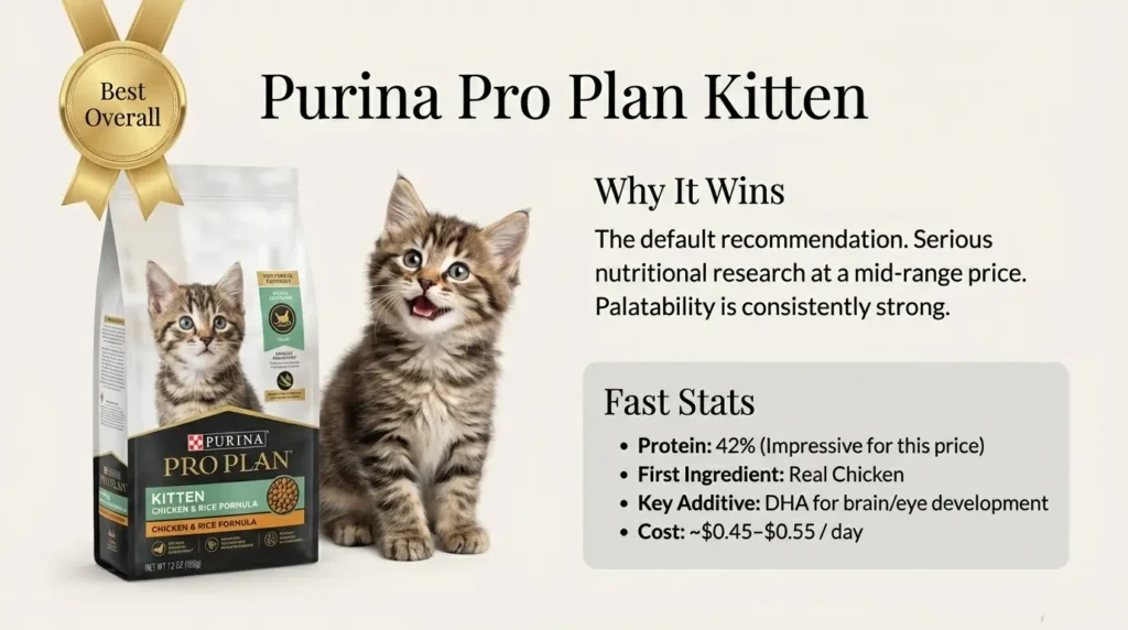 Dry Kitten Food