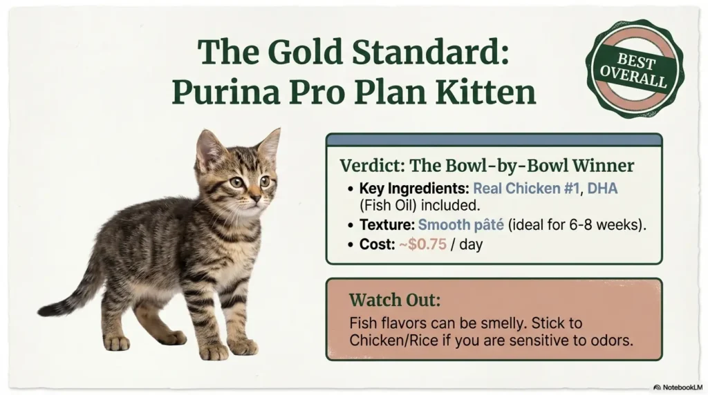 Wet Kitten Food