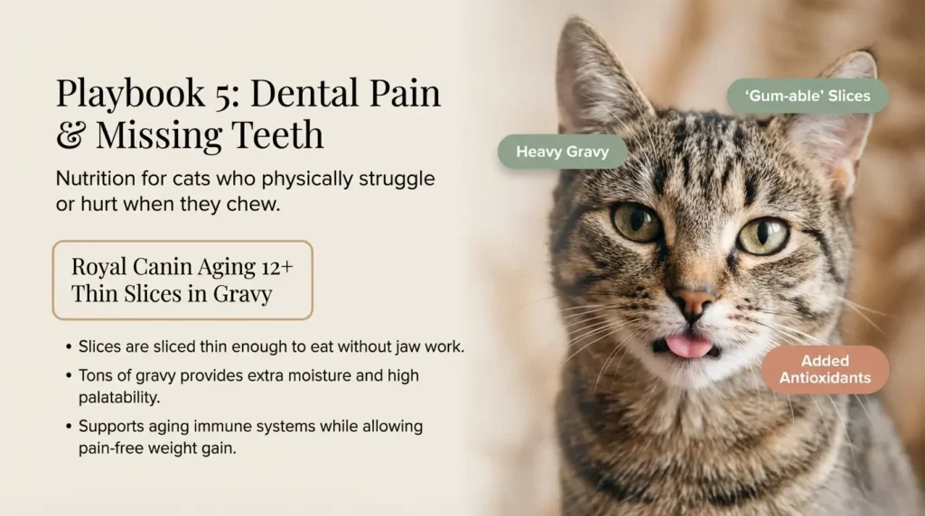 Royal Canin Aging 12